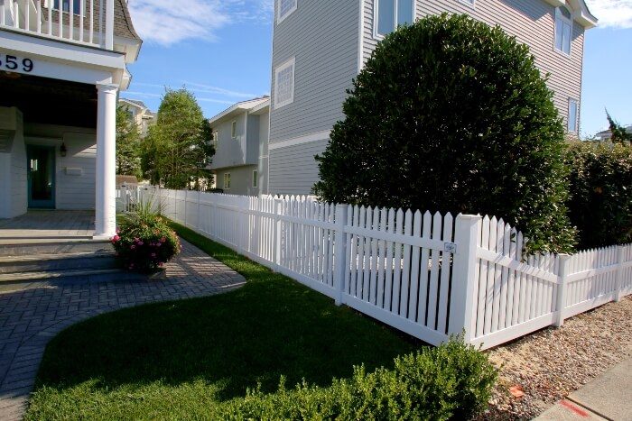 vinyl gallery21 resize