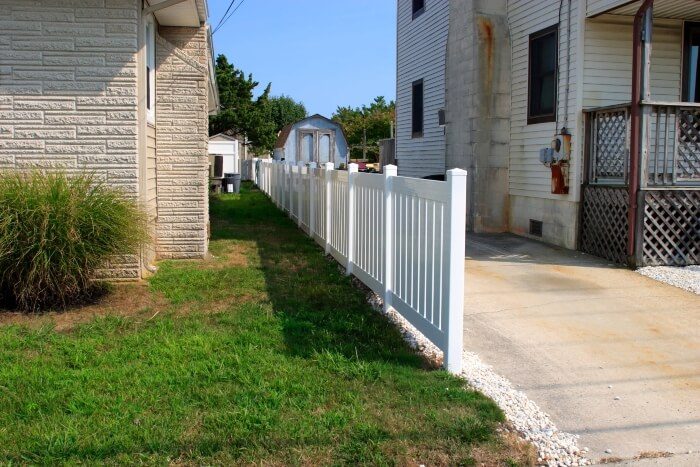 viynl gallery11 resize